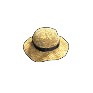 Farmer Straw Hat
