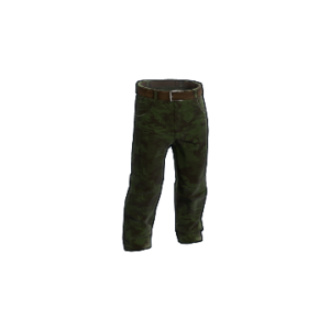 Forest Camo Pants