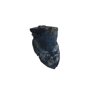Blue Bandana