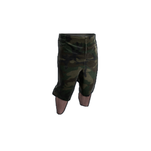 Camo Shorts