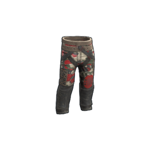 Checkpoint Pants